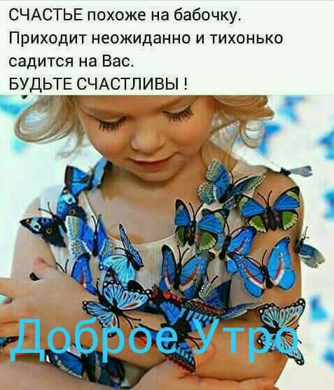 СЧАСТЬЕ похоже на бабочку Приходит неожиданно и тихонько садится на Вас БУДЬТЕ СЧАСТЛИВЫ 2 71 Ё