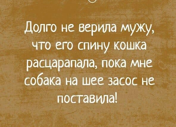 _ Долго не верила мужу что его спину кошка расцарапала пока мне собака на шее засос не поставила