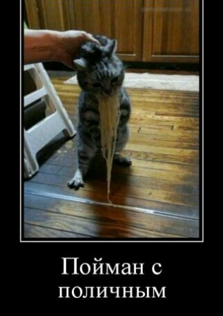 Пойман с поличным
