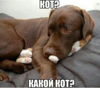_ никой ШП