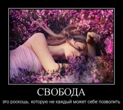 СВОБОДА это роскошь тюрую не каждый может себе позволить