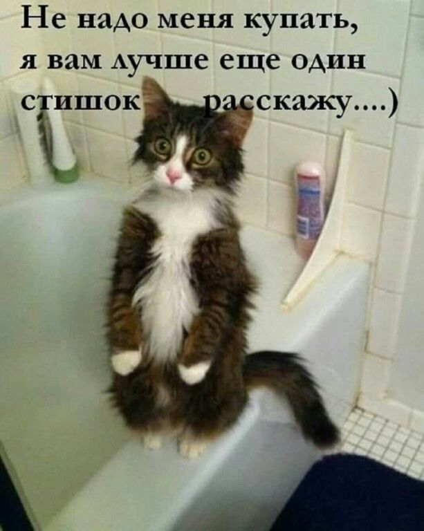Не надо меня купать я вам Аучше еще один