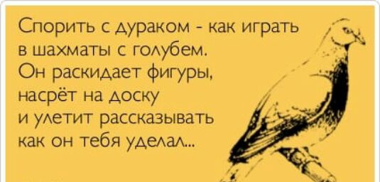 Спорить с дураком как играть в шахматы с гОАубем Он раскиАае г фигуры насрёт на доску и уАетит рассказывать как он тебя уАеАаА к