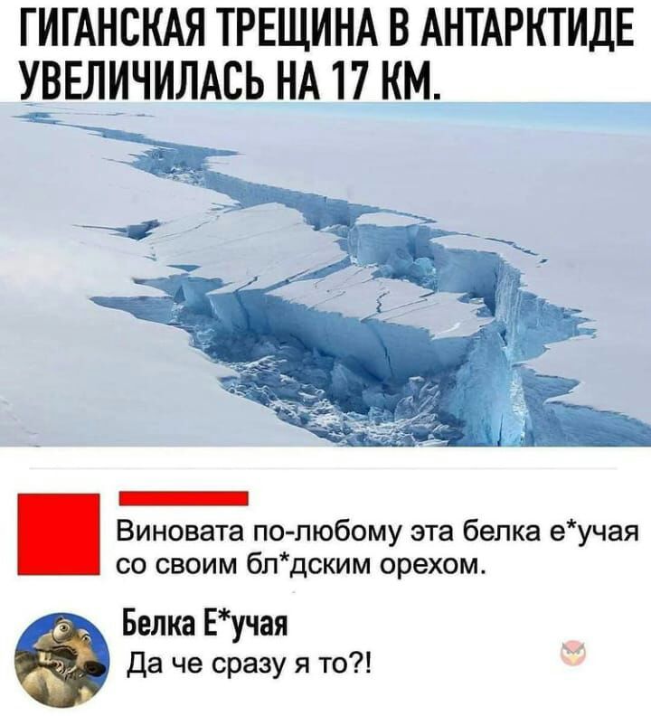 ГИГАНСКАЯ ТРЕЩИНА В АНТАРКТИДЕ УВЕЛИЧИЛАСЬ НА 17 КМ _ Виновата по любому эта белка еучая со своим блдским орехом Белка Еучая Да че сразу я то