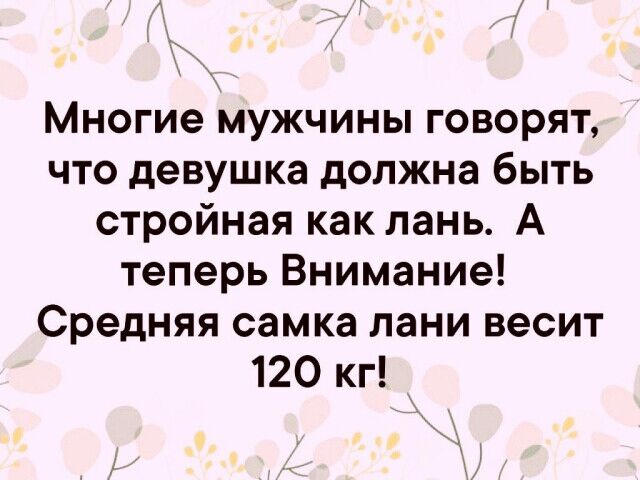 Многие мужчины говорят что девушка должна быть стройная как лань А теперь Внимание Средняя самка лани весит 120 кг _