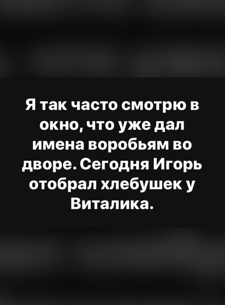 Я так часто смотрю в окно что уже дал имена воробьям во дворе Сегодня Игорь отобрал хлебушек у Виталика