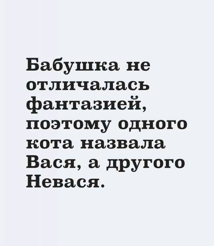 Бабушка не отличалась фантазией поэтому одного кота назвала Вася другого Невася