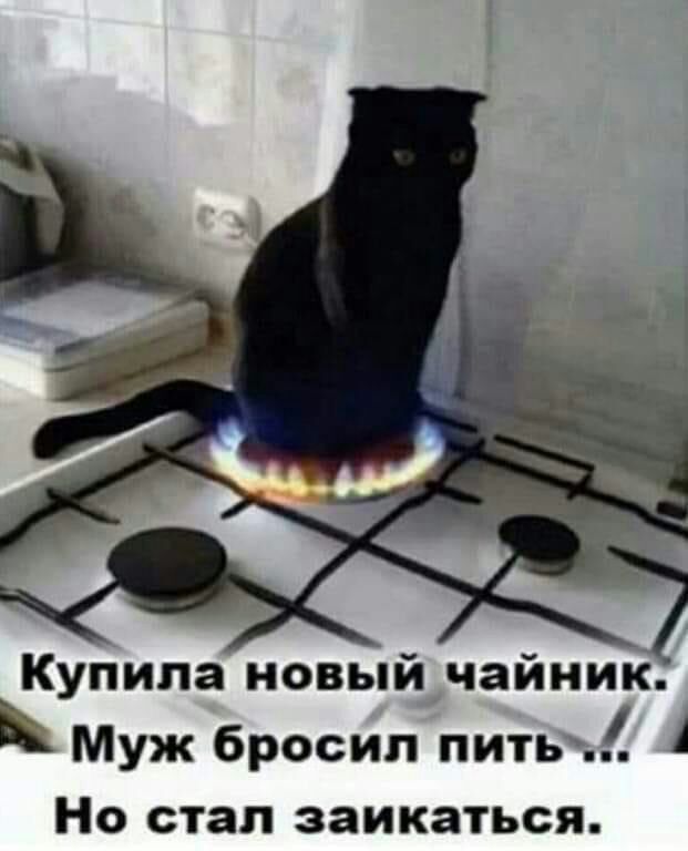 Купила новый чайник Муж бросил литы Но стал заикаться