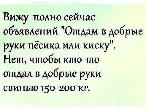 Вижу пино сейчас объявжний Отдам в добрые руки пёсика ми киску Нет чтобы ктото отдал в добрые руки свинью 150200 кг