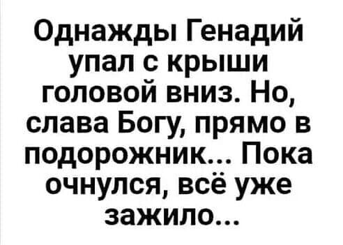 Однажды Генадий упал с крыши головой вниз Но слава Богу прямо в подорожник Пока очнулся всё уже зажило