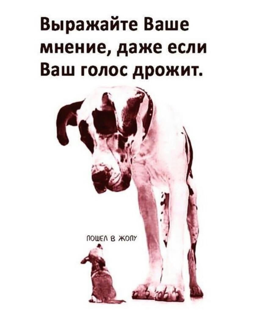 Выражайте Ваше мнение даже если Ваш голос дрожит