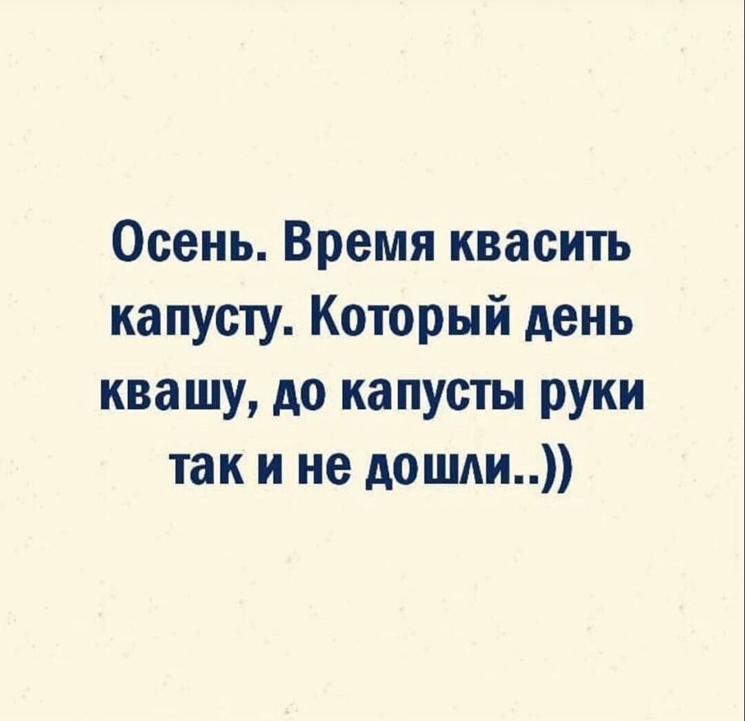 Осень Время квасить капусту Который день ква шу до ка пусты руки так и не дошли