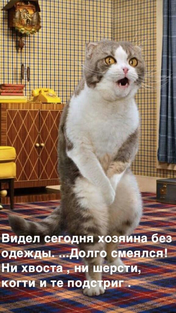. 7 ь  ро видел сегодня одежды....дол! Ни хвостани когти ите п