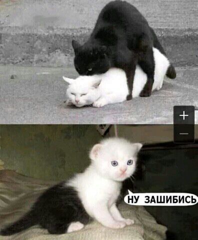 НУ ЗАШИБИСЬ