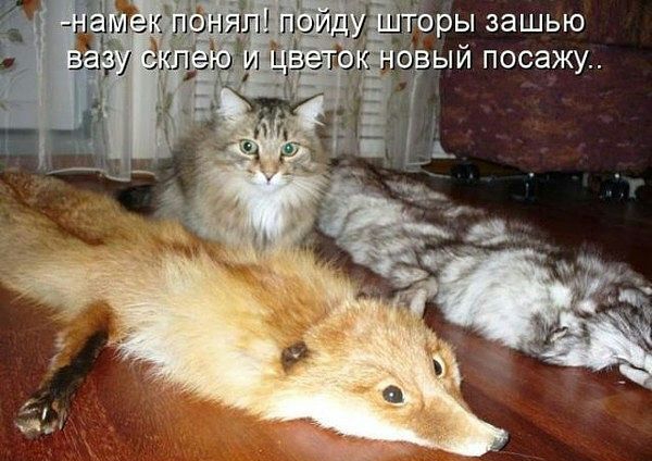Изювый посажу..  Е. Ё