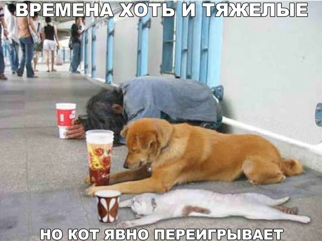 ЁЁ жэнсфчШіЁЕЭЁЩЗЕБФЬПж