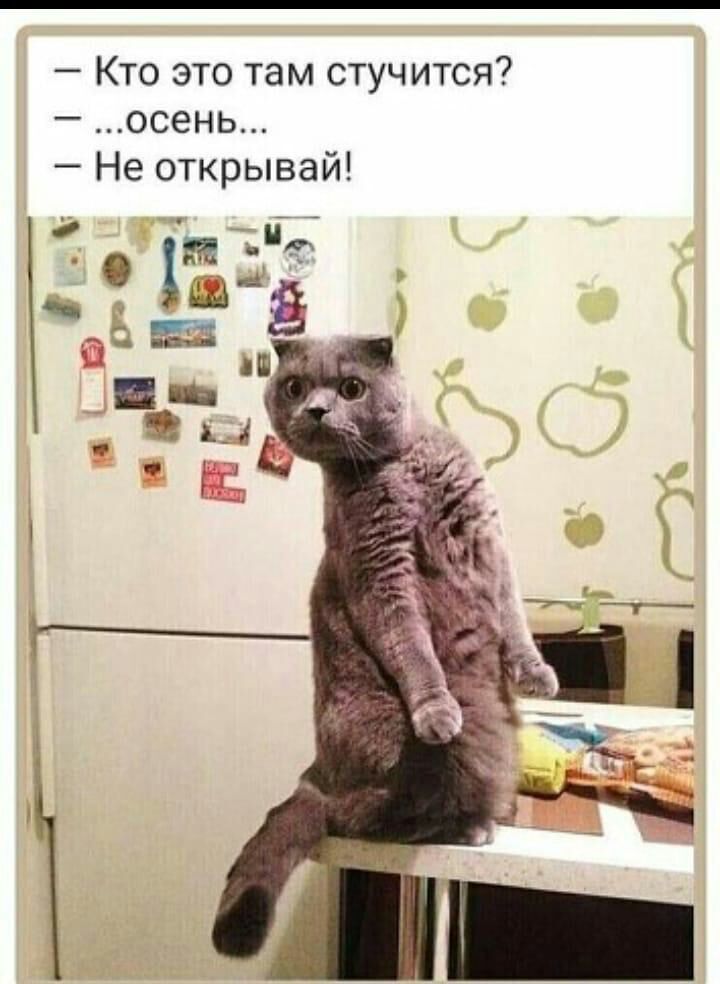 Кто это там стучится осень Не открывай д