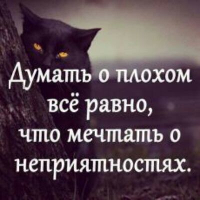 Думать хом _ всё равно что мечтать о неприятностях