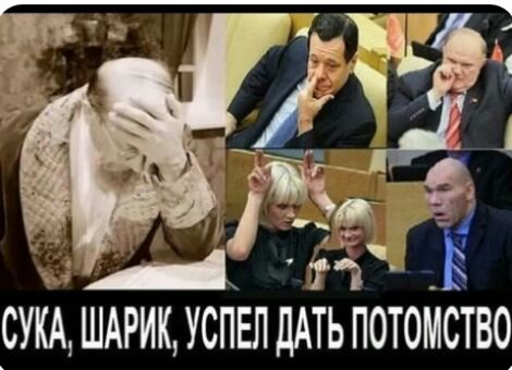 СУКА ШАРИК УСПЕП дАТЬ ПОТОМСТВО