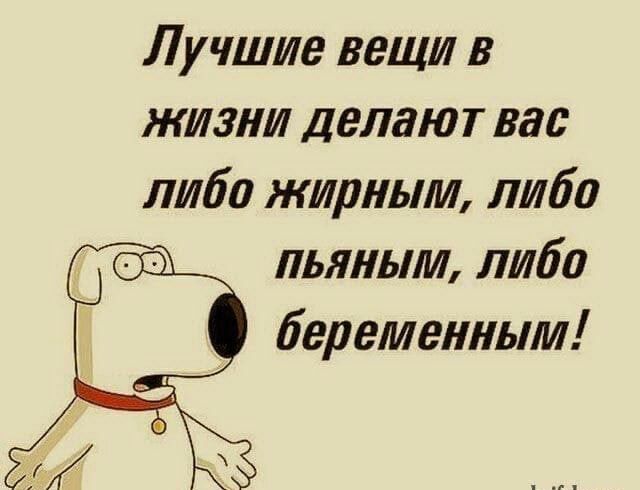 Лучшие вещи в жизни делаю т вас либо жирным либо пьяным либо беременным