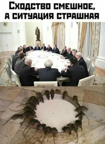 СКПДЕТВП ПМЕШНПЕ д ЕИТНПЦИП ВТРПШНПП