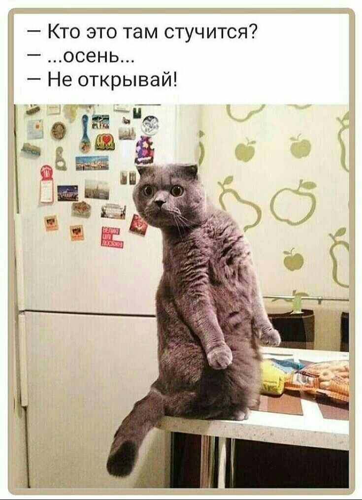 Кто это там стучится осень Не открывай