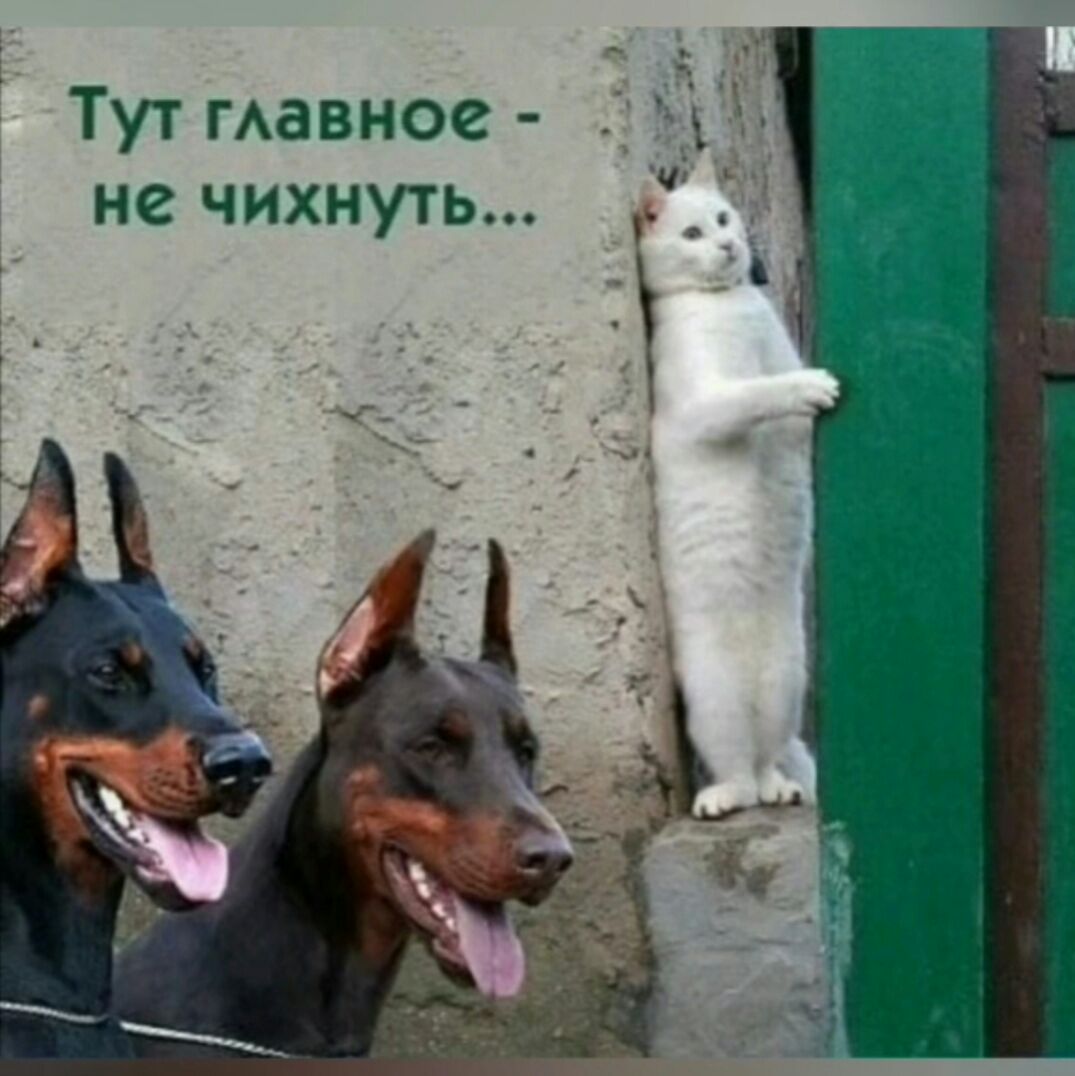 Тут гАавное не чихнуть