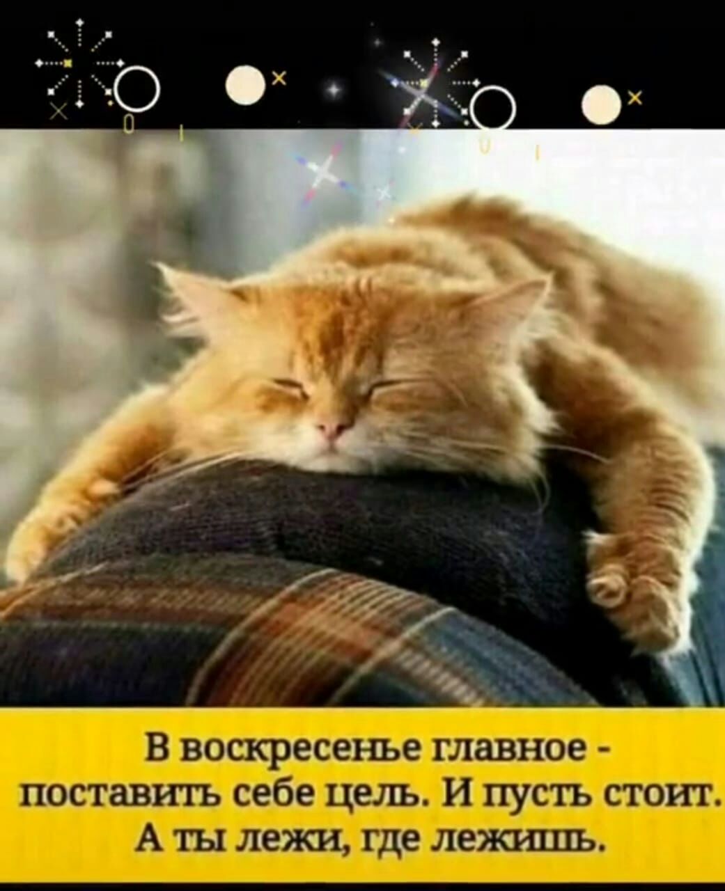 1с1ь410110_ тд 1301 ц _в_в К Ю учет 15 д на чгь гуд нажим