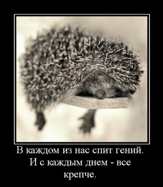 В каждом из нас спит гений И с каждым днем все крепче