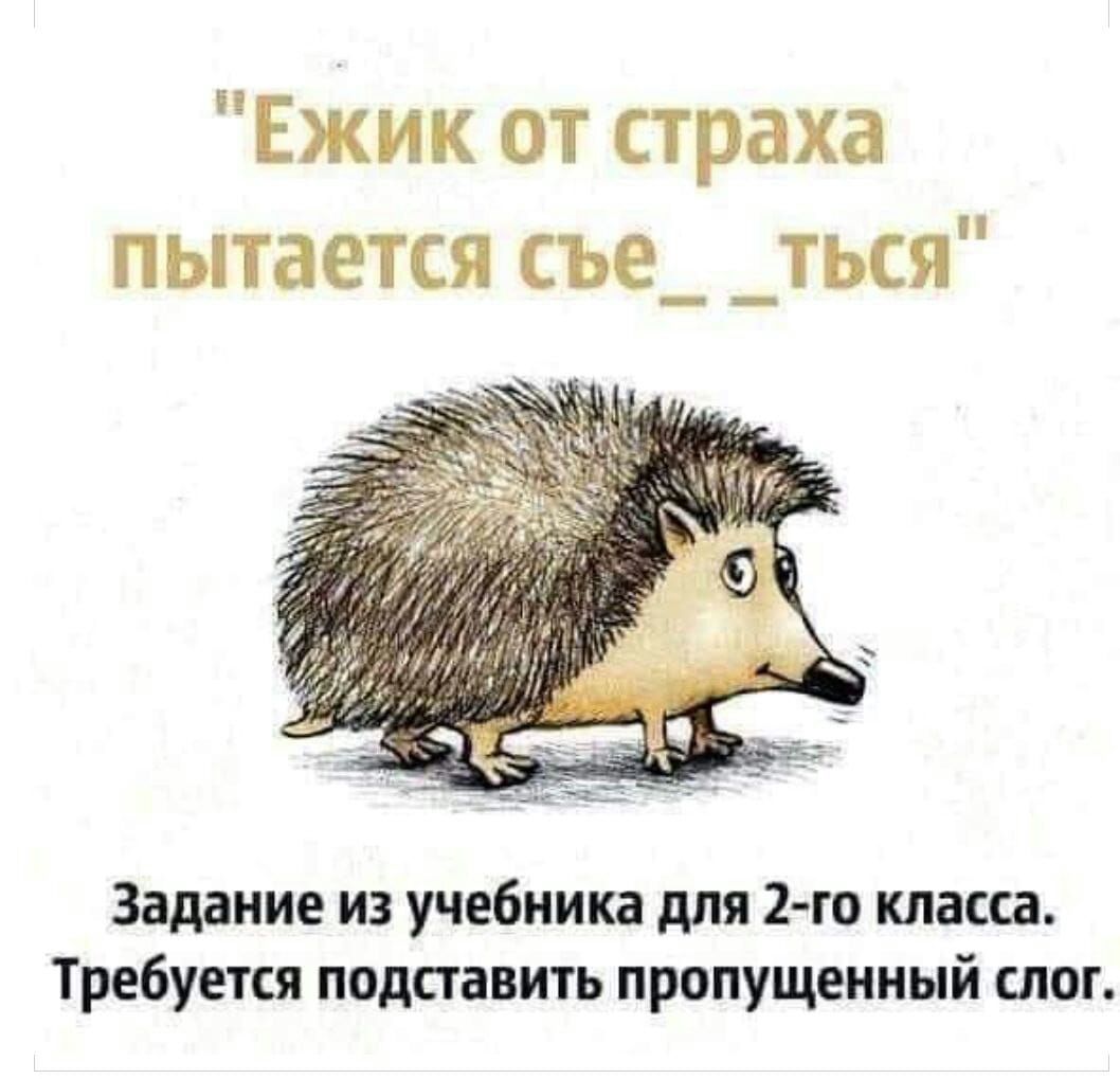 Ежик от страха пытается съе_ _ться Задание из учебника для 2 го класса Требуется подставить пропущенный слог