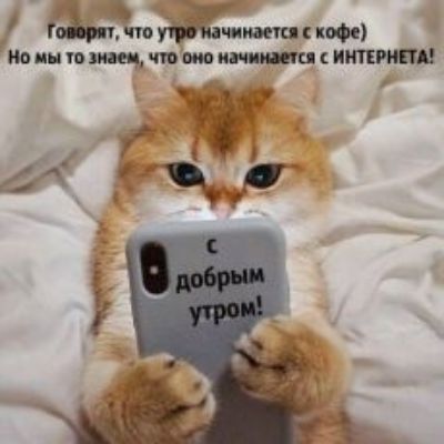 ЦЕ ю нпс мммцц итмш