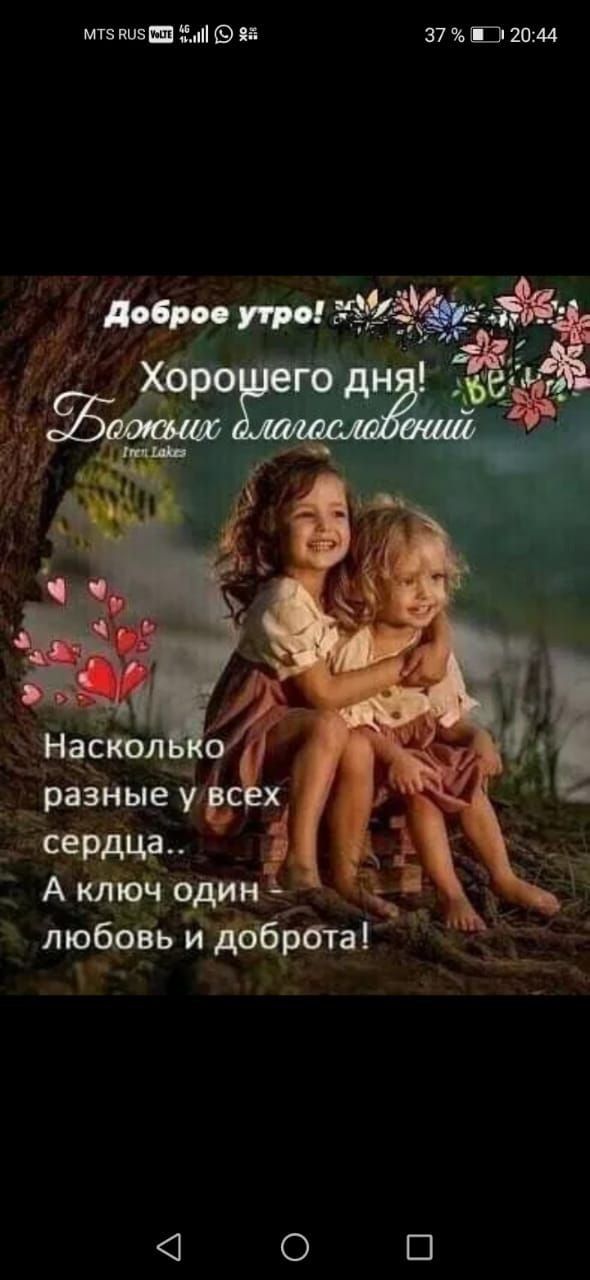 вшзпмви типам