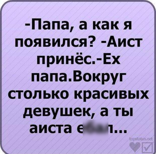 Папа, а как я появился? Аист принёс.ех папа.вокруг столько красивых девушек, а ты аиста ефил...