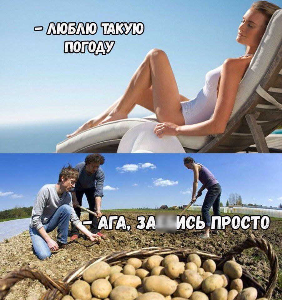 в ткую погоду