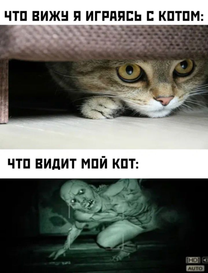 ЧТП ВИЖН Я ИГРПЯСЬ С КПТПМ