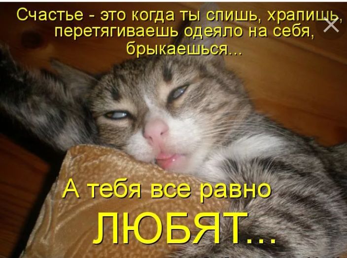 Счастье это когда ты ишь храпи перетягиваешь од по на себя