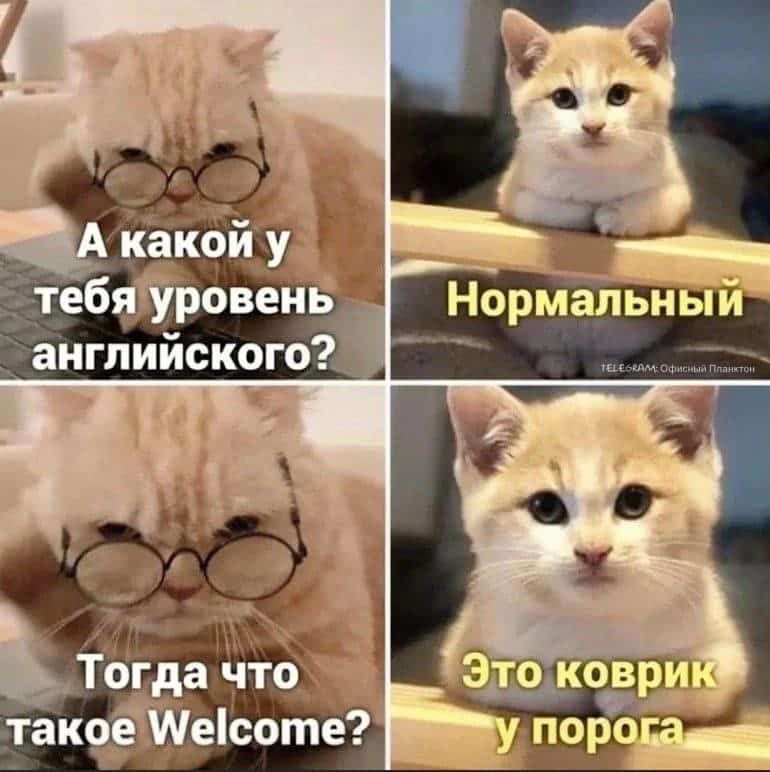 такоёйеісоте