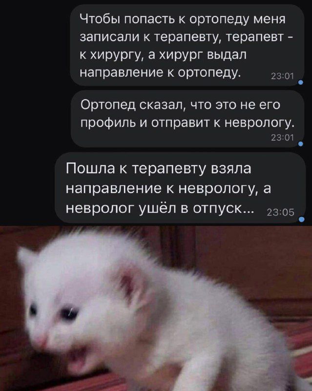 Чтобы попасть к ортопеду меня записали к терапевту терапевт к хирургу а хирург выдал направление к ортопеду _ Ортопед сказал что это не его профиль и отправит к неврологув 23 кл Пошла к терапевту взяла направление к неврологу а невролог ушёл в отпуск 23 05
