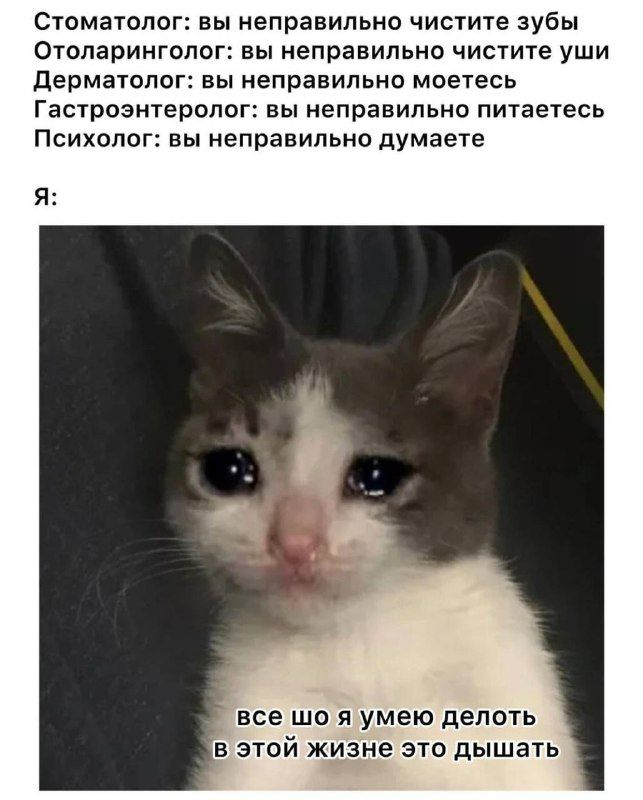 СУОМВТОЛОГ БЫ неправильно ЧИСТИТЕ зубы Отоларинголог вы иепранипьнп чистите уши ЦЕРМЭТОЛОГ ВЫ Неправильно моетесь Гастроэнтеролог вы неправильно питаетесь Психолог вы неправильно думаете все шо я умею делать в этой хтне это дышать