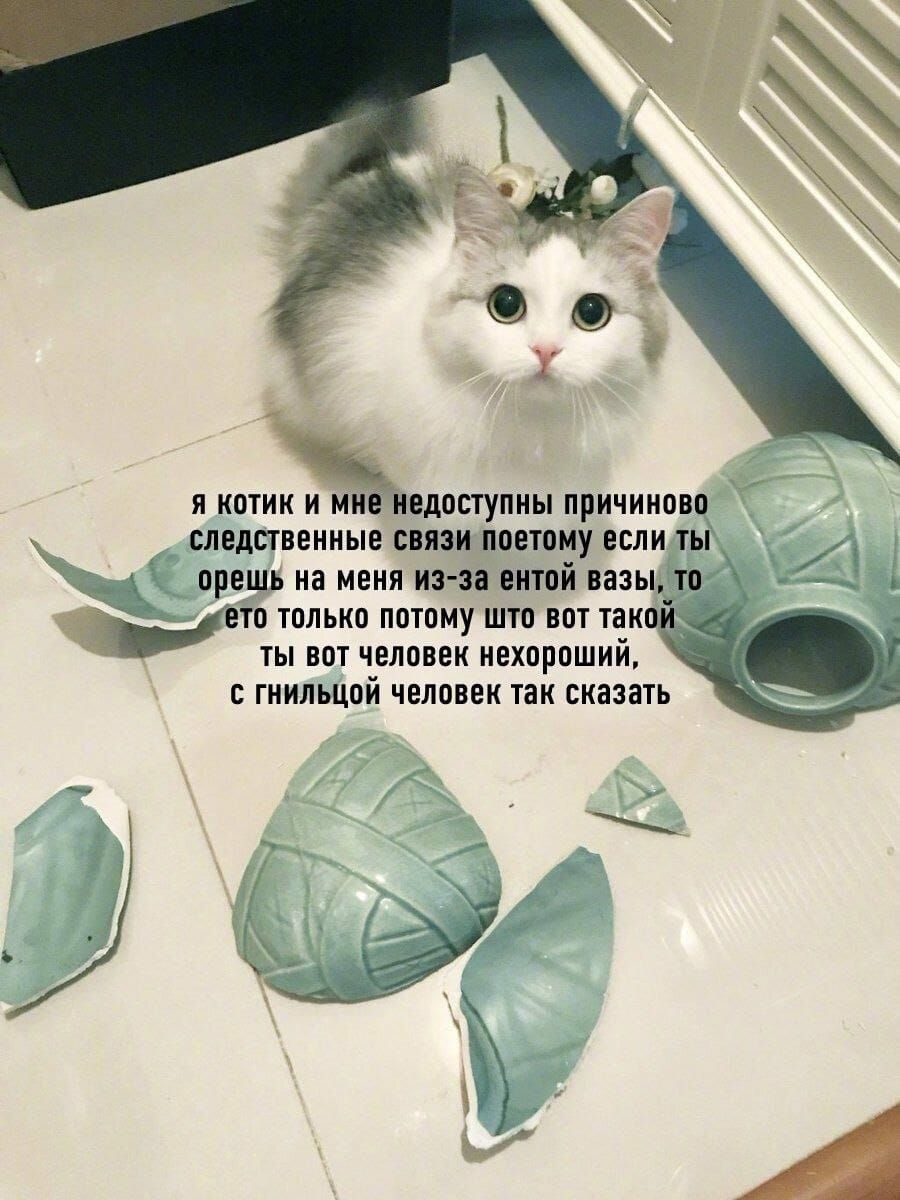и кптин и мин ннпщнны причинив К следственные связанному вши прещ на меня ни нтпй вазы п тпньнп ншиу штп впт так ты пт чвпавен нехороший гнипьцпй чвлпвен пн сказать 5 д А