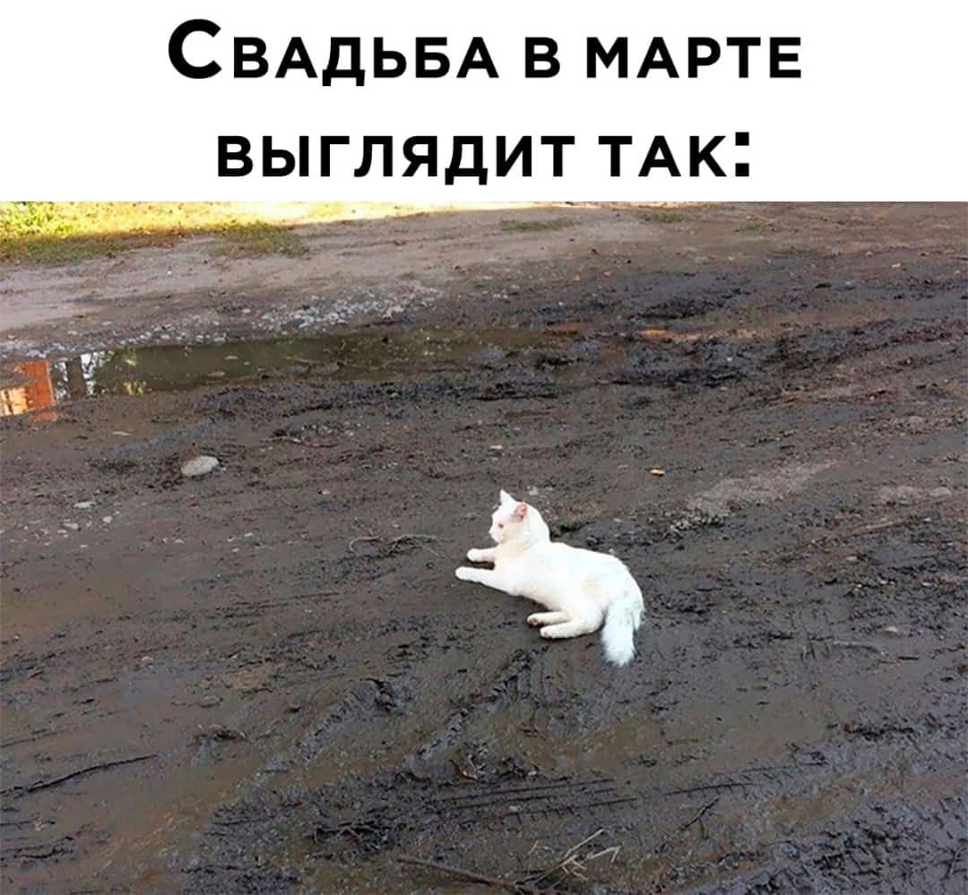СВАДЬБА в МАРТЕ выглядит ТАк