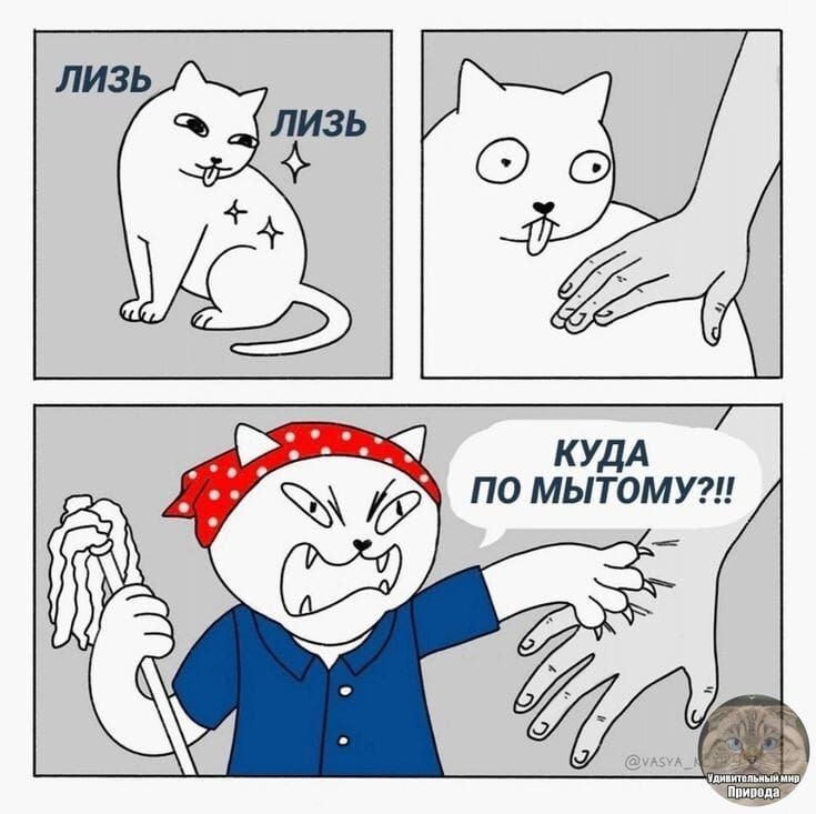 Ч КУДА ПО МЫТОМУ