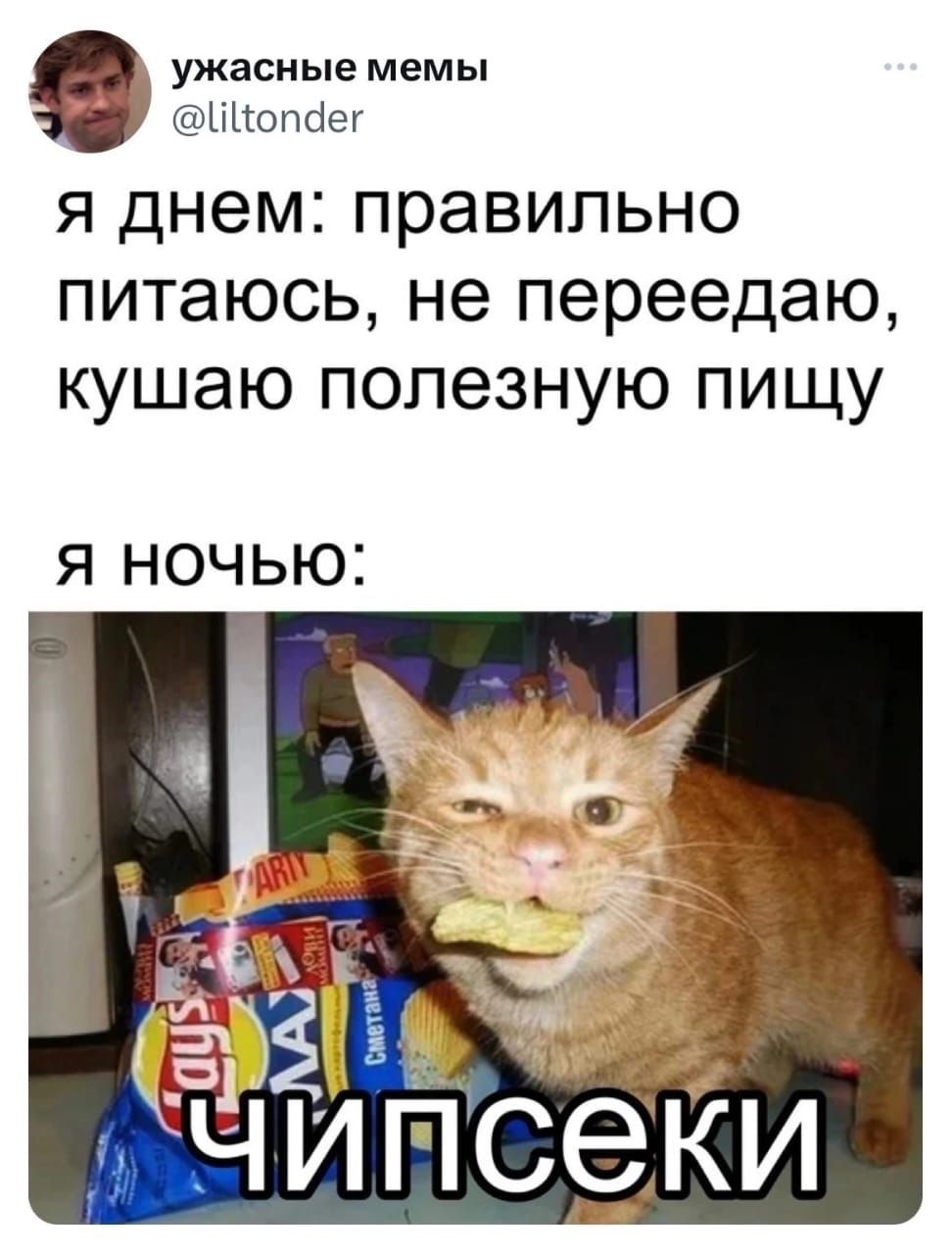 ужасные мемы ШЖШопёег Я днем правильно питаюсь не переедаю кушаю полезную пищу Я НОЧЬЮ