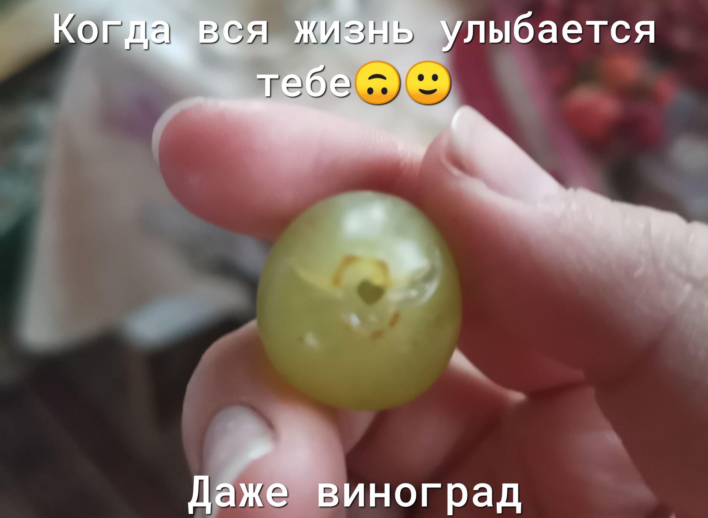 иноград