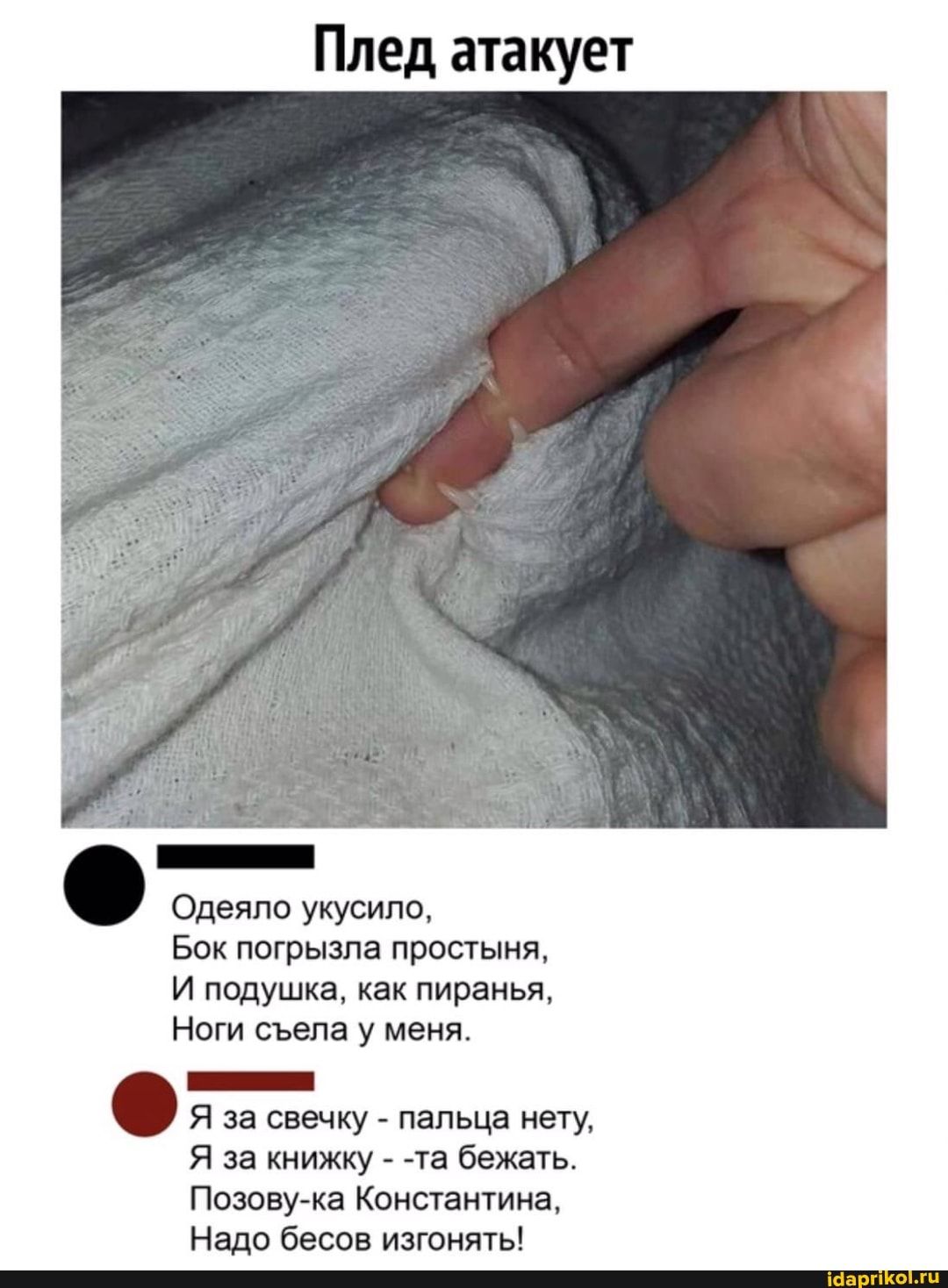 Плед атакует Одеяло укусипо Бок погрызла простыня И подушка как пиранья Ноги съела у меня _ Я за свечку пальца нету Я за книжку та бежать Позовука Константина Надо бесов изгонять Шарп о