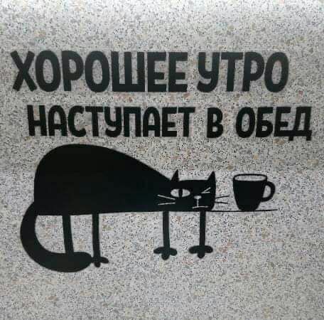 хорошввитРО чттчпдтмш