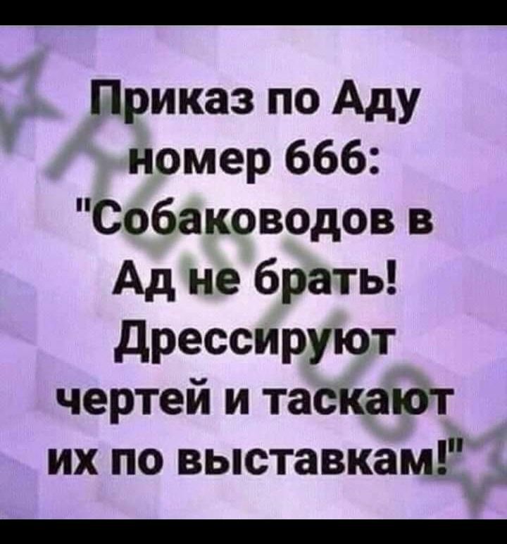 Приказ по Аду номер 666 Собаководов в Ад не брать дрессируют чертей и таскаідт их по выставкам _ Ё