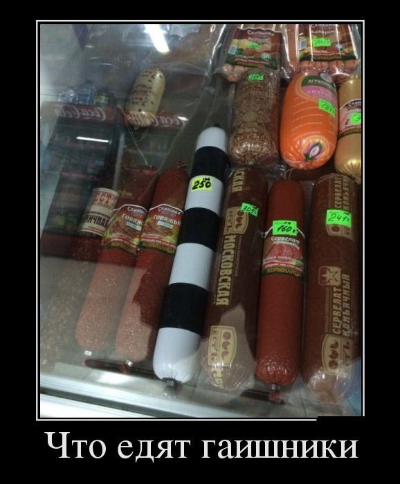 Что едят гаШЦНИКИ