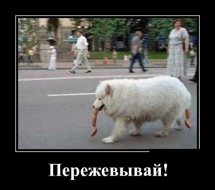 Пережевывай