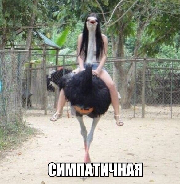 еимпштичнн